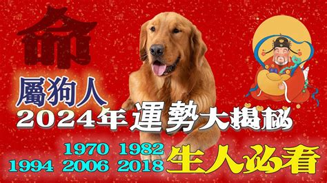 1970屬狗2024運勢每月|【1970屬狗2024運勢每月】屬狗人2024每月運勢全解析：抓住好。